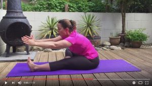 Sitting Hamstring Stretch