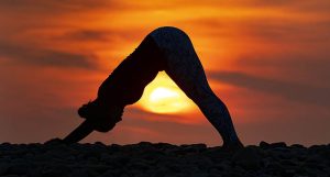 Back Health Toolkit – Introduction