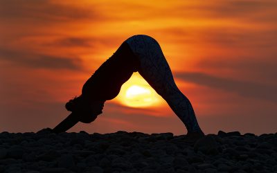 Ten Reasons to take up Pilates