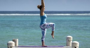 Back Health, Dysfunction and Pilates
