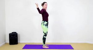 Back Health Class 2 – Mobilise